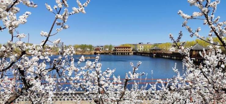 北京排名认知症养老社区?普乐时光和东坝福寿苑等养老社区就放心!2026最新(图5)