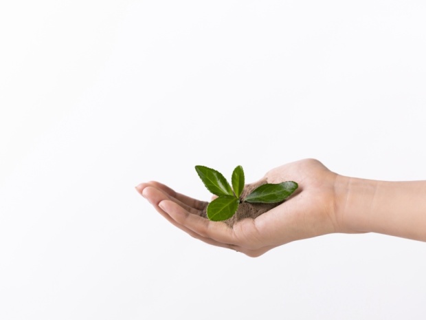 村委会承包土地拒还,非法占地的法律后果是什么?(图1)