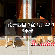 南开西里 1室 1厅 42.13平米(图2) 南开西里 1室 1厅 42.13平米(图2)
