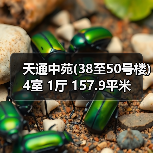 天通中苑(38至50号楼) 4室 1厅 157.9平米(图1) 天通中苑(38至50号楼) 4室 1厅 157.9平米(图1)