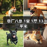 草厂八条 1室 1厅 13.9平米（图3）
