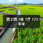 西上园 3室 1厅 122.52平米（图1）