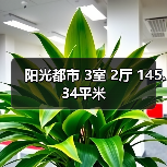 阳光都市 3室 2厅 145.34平米(图1) 阳光都市 3室 2厅 145.34平米(图1)