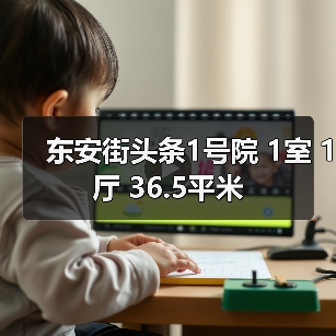 东安街头条1号院 1室 1厅 36.5平米(图3) 东安街头条1号院 1室 1厅 36.5平米(图3)