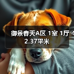 御景春天A区 1室 1厅 42.37平米(图4) 御景春天A区 1室 1厅 42.37平米(图4)