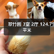 翠竹园 3室 2厅 124.75平米(图1) 翠竹园 3室 2厅 124.75平米(图1)