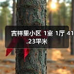吉祥里小区 1室 1厅 41.23平米(图1) 吉祥里小区 1室 1厅 41.23平米(图1)