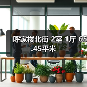 呼家楼北街 2室 1厅 65.45平米（图1）