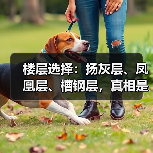 楼层选择:扬灰层、凤凰层、槽钢层,真相是什么?(图3) 楼层选择:扬灰层、凤凰层、槽钢层,真相是什么?(图3)