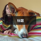 标题（图3）