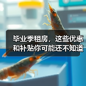 毕业季租房,这些优惠和补贴你可能还不知道(图1) 毕业季租房,这些优惠和补贴你可能还不知道(图1)