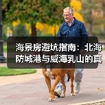 海景房避坑指南:北海防城港与威海乳山的真实对比(图2) 海景房避坑指南:北海防城港与威海乳山的真实对比(图2)