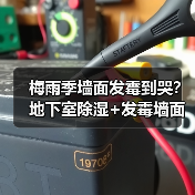 梅雨季墙面发霉到哭？地下室除湿+发霉墙面拯救指南全在这了（图2）