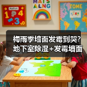梅雨季墙面发霉到哭？地下室除湿+发霉墙面拯救指南全在这了（图3）