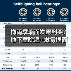 梅雨季墙面发霉到哭？地下室除湿+发霉墙面拯救指南全在这了（图4）