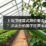 上海顶楼复式降价难卖？送露台的房子挂牌半年无人问，我踩坑后真相了（图1）