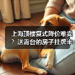 上海顶楼复式降价难卖？送露台的房子挂牌半年无人问，我踩坑后真相了（图4）